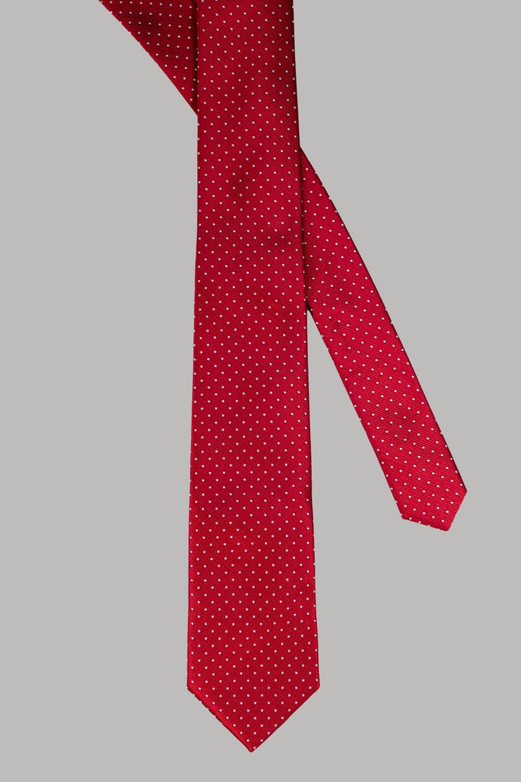 HOUSE OF CAVANI DOT TIE SET